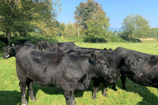 Beef Share Deposit
